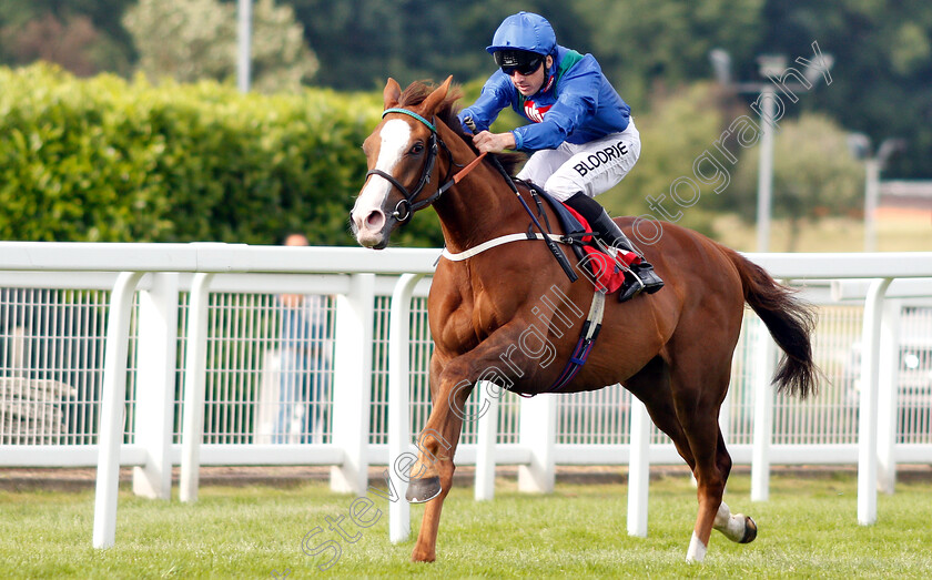 Elysees-0001 
 ELYSEES (Martin Harley) wins The Portugal V Spain Betting At 188bet Handicap
Sandown 15 Jun 2018 - Pic Steven Cargill / Racingfotos.com