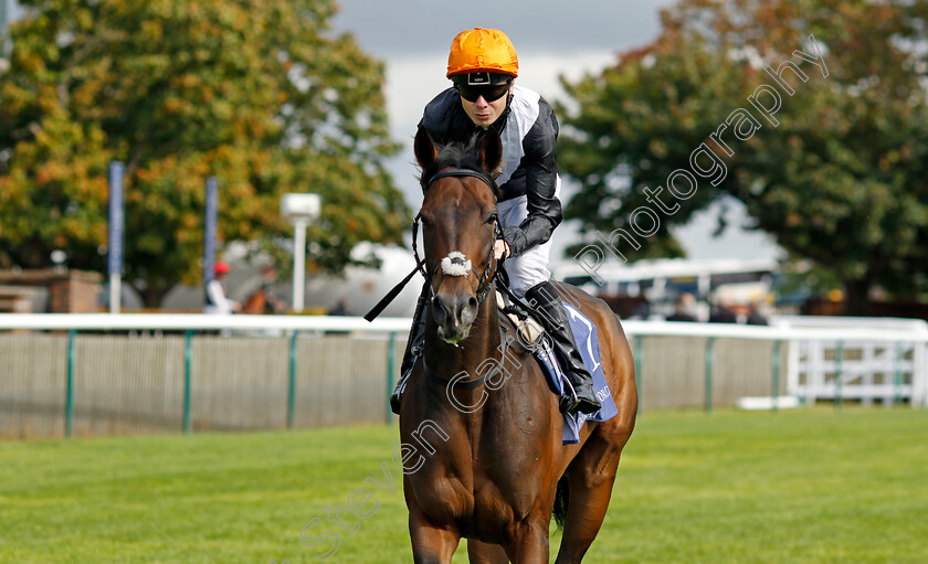 Quenelle-D Or-0001 
 QUENELLE D'OR (Jamie Spencer)
Newmarket 23 Sep 2022 - Pic Steven Cargill / Racingfotos.com