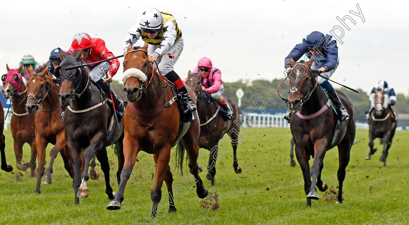 Dakota-Gold-0004 
 DAKOTA GOLD (Connor Beasley) wins The UK Hi-Fi Show Live Rous Stakes
Ascot 5 Oct 2019 - Pic Steven Cargill / Racingfotos.com