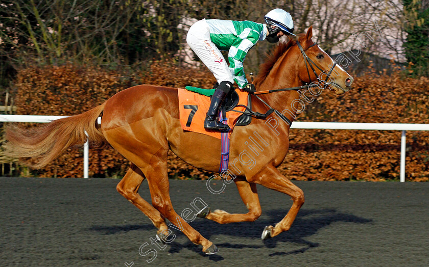 Red-Flyer-0001 
 RED FLYER (Rossa Ryan)
Kempton 3 Feb 2021 - Pic Steven Cargill / Racingfotos.com