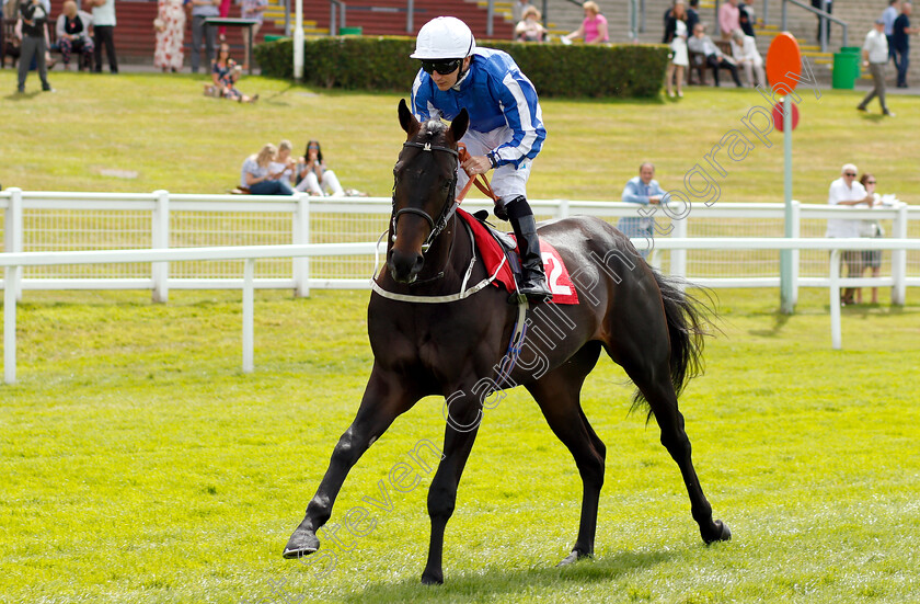 Sky-Cross-0001 
 SKY CROSS (P J McDonald)
Sandown 15 Jun 2018 - Pic Steven Cargill / Racingfotos.com