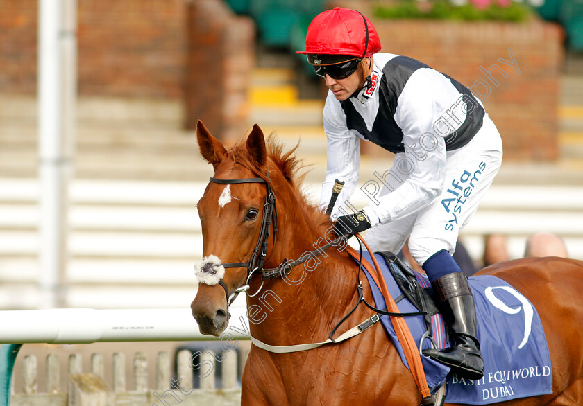 Leitzel-0002 
 LEITZEL (Jim Crowley)
Newmarket 23 Sep 2022 - Pic Steven Cargill / Racingfotos.com