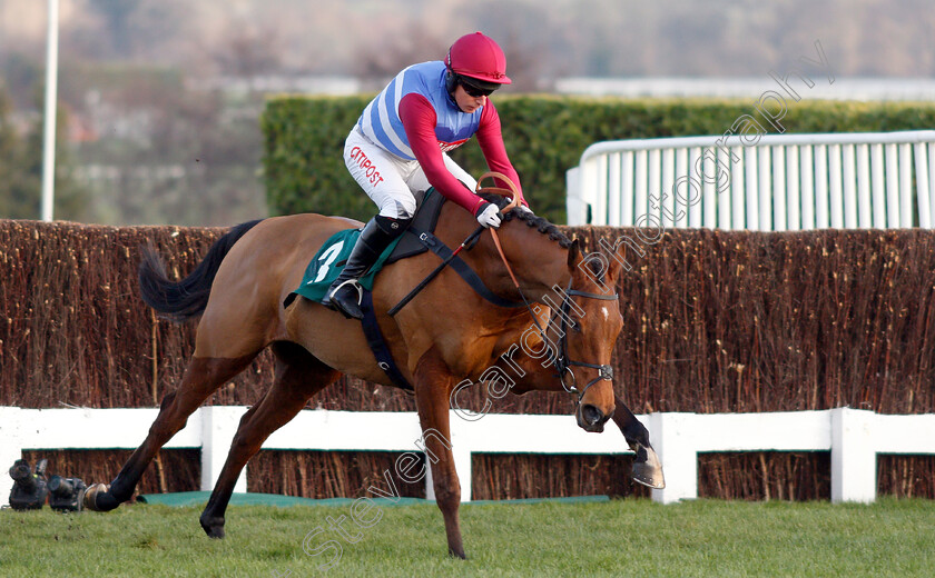 The-Worlds-End-0004 
 THE WORLDS END (Noel Fehily) wins The Neville Lumb Novices Chase
Cheltenham 14 Dec 2018 - Pic Steven Cargill / Racingfotos.com