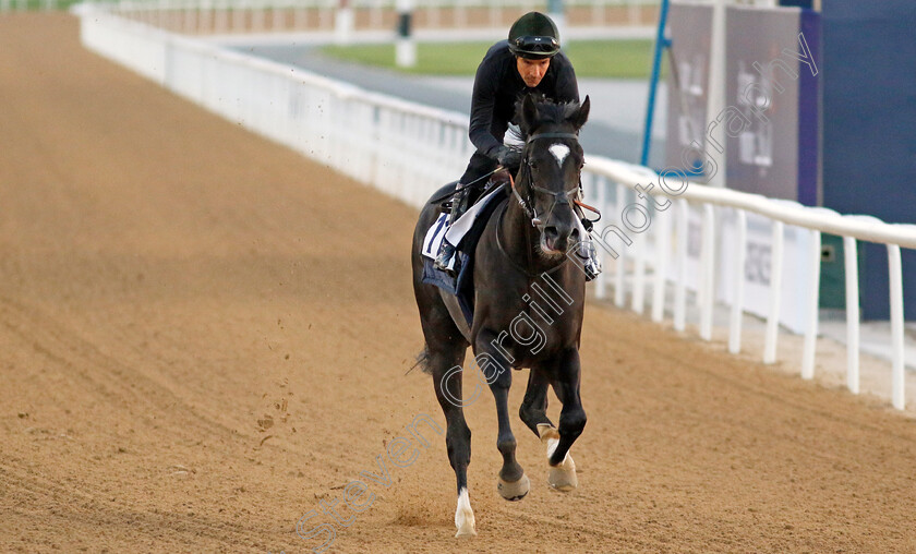 Heart-Of-Honor-0003 
 HEART OF HONOR training at the Dubai Racing Carnival
Meydan 22 Jan 2025 - Pic Steven Cargill / Racingfotos.com