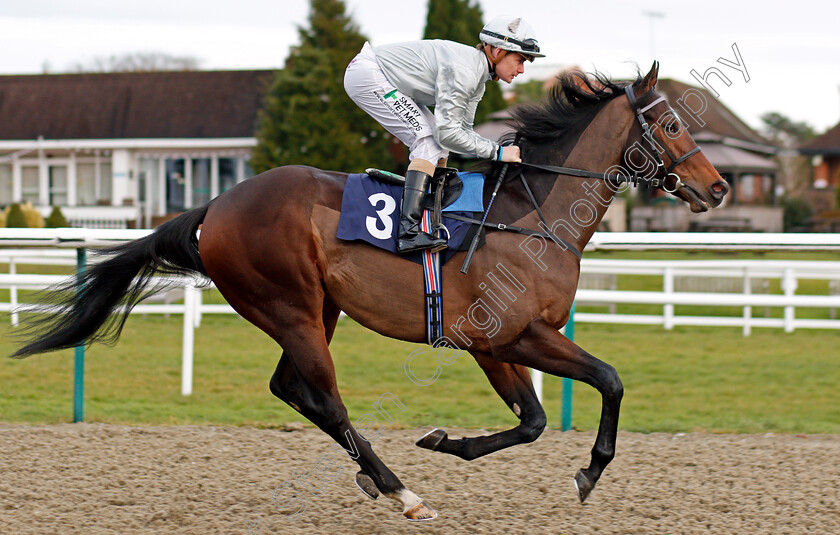 King-Of-Arms-0001 
 KING OF ARMS (Kieran O'Neill)
Lingfield 18 Dec 2019 - Pic Steven Cargill / Racingfotos.com