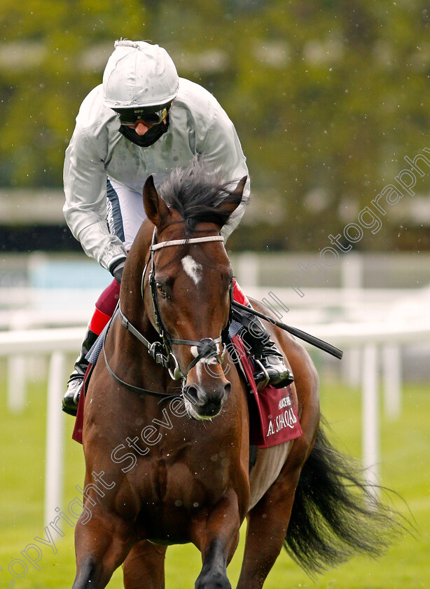 Palace-Pier-0002 
 PALACE PIER (Frankie Dettori) winner of The Al Shaqab Lockinge Stakes
Newbury 15 May 2021 - Pic Steven Cargill / Racingfotos.com