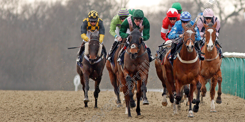 Lingfield-0002 
 WILD FLOWER (right, Thore Hansen) and ARAGON KNIGHT (left) lead the field down the hill during The Betway Handicap Lingfield 23 Feb 2018 - Pic Steven Cargill / Racingfotos.com