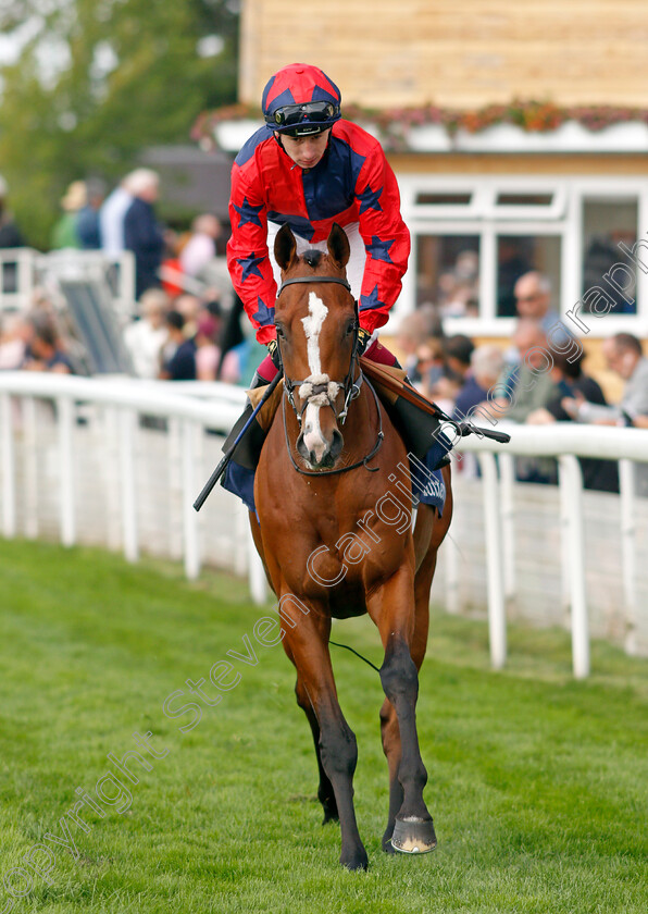 Imperial-Fighter-0001 
 IMPERIAL FIGHTER (Oisin Murphy)
York 18 Aug 2021 - Pic Steven Cargill / Racingfotos.com