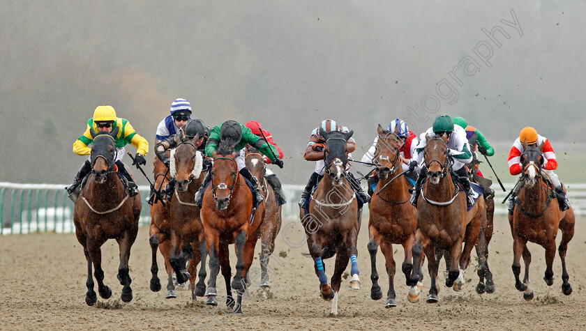 Kachy-0003 
 KACHY (3rd left, Richard Kingscote) beats KIMBERELLA (2nd right) CASPIAN PRINCE (4th right) INTISAAB (2nd left) and LANCELOT DU LAC (left) in The Betway Cleves Stakes Lingfield 3 Feb 2018 - Pic Steven Cargill / Racingfotos.com