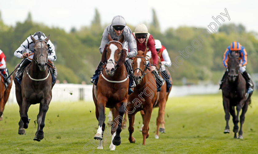 Last-Crusader-0007 
 LAST CRUSADER (Daniel Tudhope) wins The British Stallion Studs EBF Westow Stakes
York 12 May 2022 - Pic Steven Cargill / Racingfotos.com