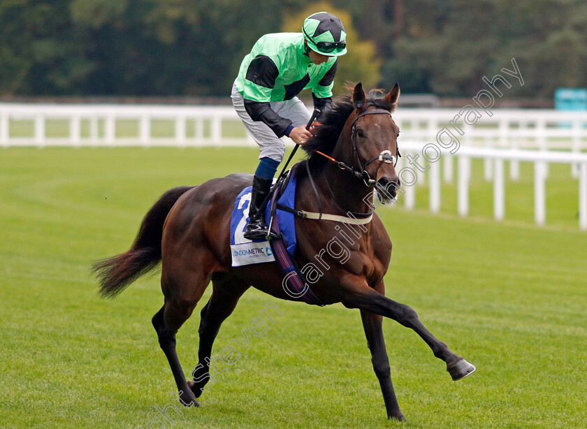 Aggagio-0001 
 AGGAGIO (Rhys Clutterbuck)
Ascot 30 Sep 2022 - Pic Steven Cargill / Racingfotos.com