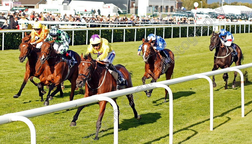 What-A-Home-0001 
 WHAT A HOME (Paul Hanagan) wins The Breeders Series EBF Fillies Handicap Doncaster 14 Sep 2017 - Pic Steven Cargill / Racingfotos.com