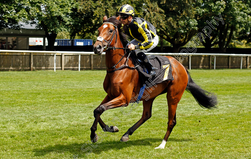 Makuri-0001 
 MAKURI (Greg Cheyne)
Newmarket 15 Jul 2023 - Pic Steven Cargill / Racingfotos.com