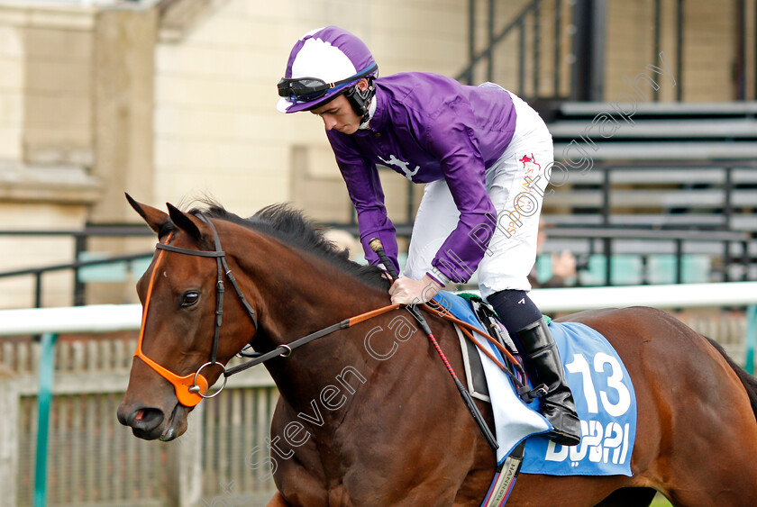 Saliteh 
 SALITEH (Rossa Ryan)
Newmarket 8 Oct 2021 - Pic Steven Cargill / Racingfotos.com