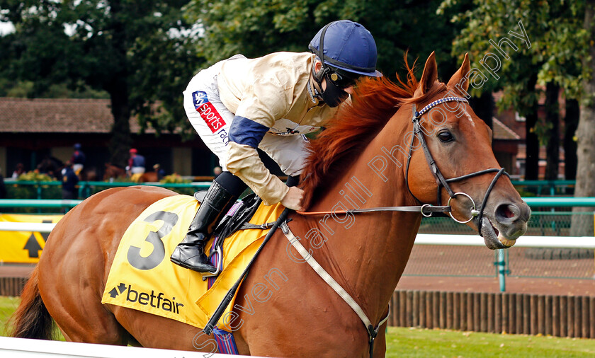 Glen-Shiel-0001 
 GLEN SHIEL (Hollie Doyle)
Haydock 5 Sep 2020 - Pic Steven Cargill / Racingfotos.com