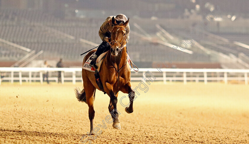 Cafe-Pharoah-0003 
 CAFE PHAROAH training for the Dubai World Cup
Meydan, Dubai, 21 Mar 2023 - Pic Steven Cargill / Racingfotos.com