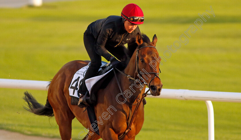 Emaraaty-Ana-0003 
 EMARAATY ANA training at the Dubai Racing Carnival
Meydan 1 Mar 2024 - Pic Steven Cargill / Racingfotos.com