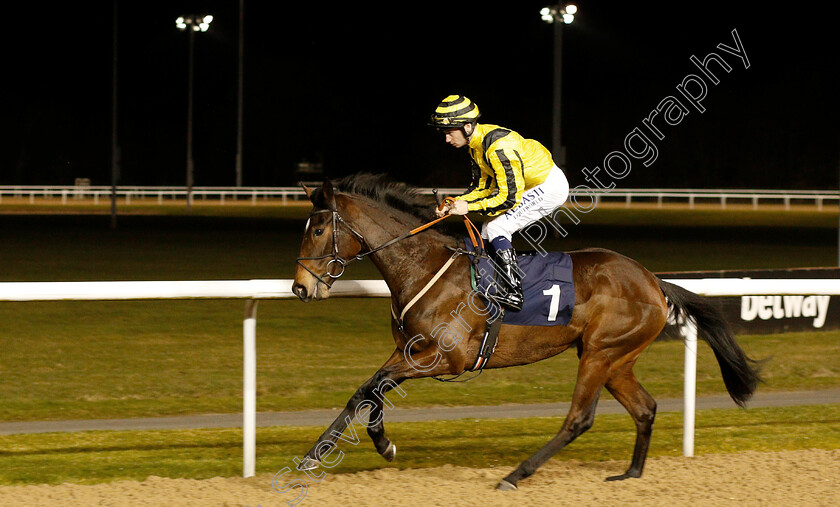 Toffee-Galore-0001 
 TOFFEE GALORE (Oisin Murphy)
Wolverhampton 26 Feb 2019 - Pic Steven Cargill / Racingfotos.com