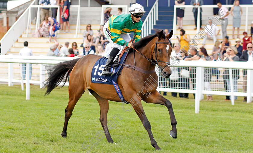 Litterale-Ci-0001 
 LITTERALE CI (Josephine Gordon)
Newbury 20 Jul 2019 - Pic Steven Cargill / Racingfotos.com