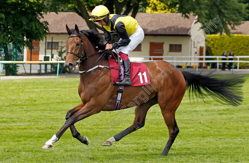 Ana-Gold 
 ANA GOLD (Connor Murtagh)
Haydock 28 May 2022 - Pic Steven Cargill / Racingfotos.com