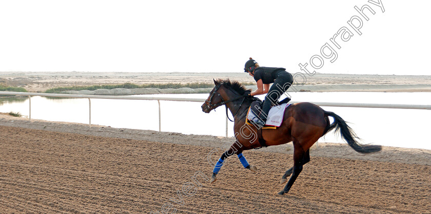 Bangkok-0005 
 BANGKOK training for the Bahrain International Trophy
Rashid Equestrian & Horseracing Club, Bahrain, 18 Nov 2020