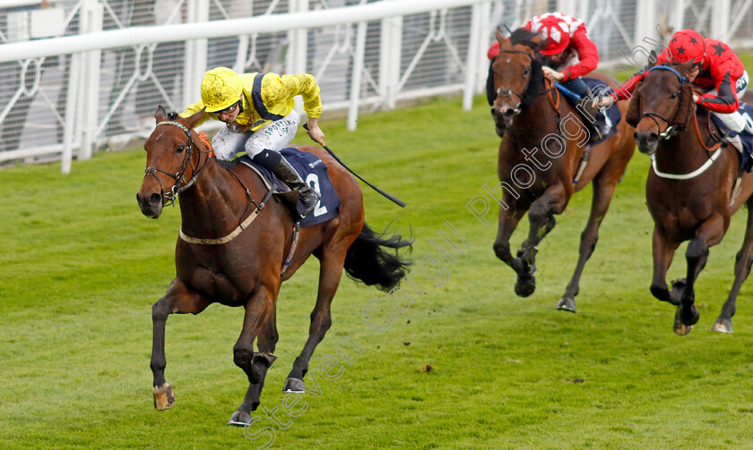 Hodler-0003 
 HODLER (Ryan Sexton) wins The Everyone's Turf Handicap
Chester 10 May 2023 - Pic Steven Cargill / Racingfotos.com