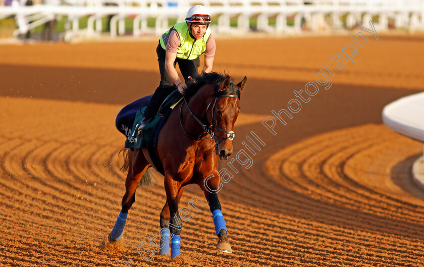 Mishriff-0002 
 MISHRIFF training for The Saudi Cup
King Abdulaziz Racetrack, Riyadh, Saudi Arabia 23 Feb 2022 - Pic Steven Cargill / Racingfotos.com