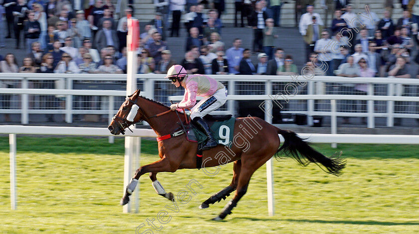 Magic-Dancer-0002 
 MAGIC DANCER (Richard Patrick) wins The Cheltenham Pony Racing Authority Graduates Handicap Hurdle Cheltenham 18 Apr 2018 - Pic Steven Cargill / Racingfotos.com