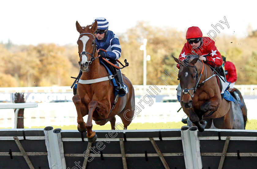 Celtic-Dino-0006 
 CELTIC DINO (left, Dylan Johnston) beats WADE OUT (right) in The Troy Asset Management Introductory Hurdle
Ascot 22 Nov 2024 - Pic Steven Cargill / Racingfotos.com