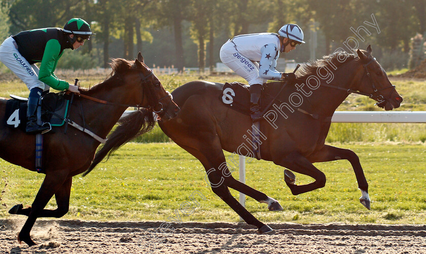 Big-Brown-0002 
 BIG BROWN (Marco Ghiani) leads COLD HARBOUR (left)
Chelmsford 3 Jun 2021 - Pic Steven Cargill / Racingfotos.com