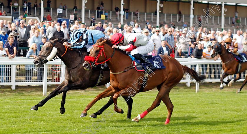 Chanson-D Amour-0002 
 CHANSON D'AMOUR (left, Martin Harley) beats AMASOVA (right) in The Sky Sports Racing Sky 415 Handicap
Yarmouth 13 Sep 2022 - Pic Steven Cargill / Racingfotos.com