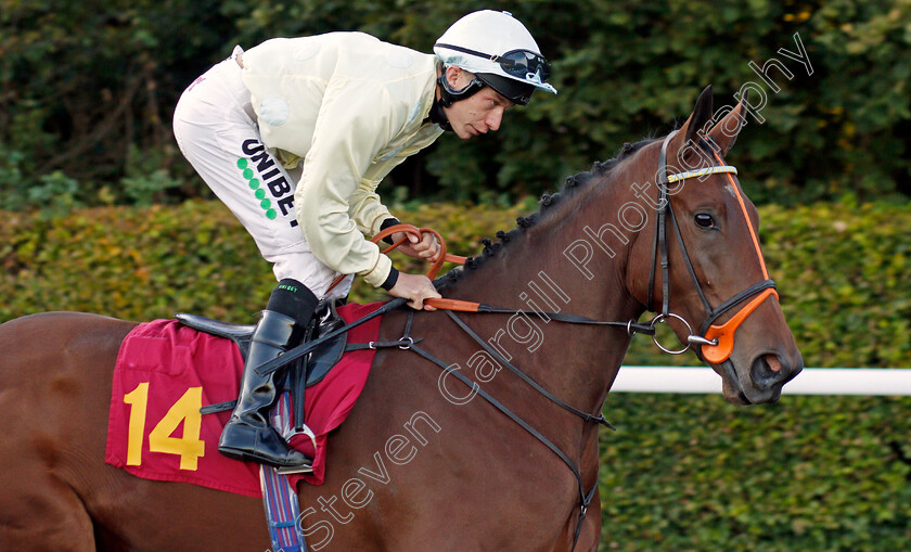 Lismore-0002 
 LISMORE (Luke Morris)
Kempton 2 Oct 2019 - Pic Steven Cargill / Racingfotos.com