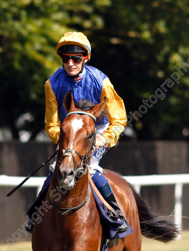 Taoiseach-0001 
 TAOISEACH (Fran Berry)
Newmarket 28 Jun 2018 - Pic Steven Cargill / Racingfotos.com