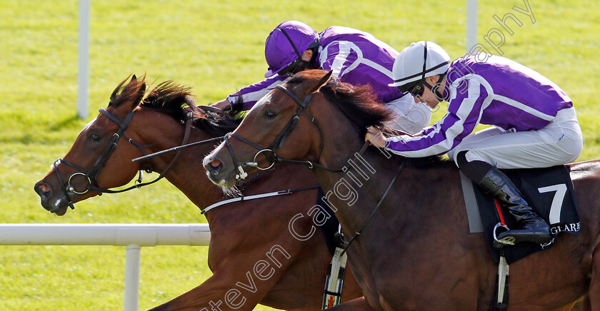 Happily-0006 
 HAPPILY (right, Donnacha O'Brien) beats MAGICAL (farside) in The Moyglare Stud Stakes Curragh 10 Sep 2017 - Pic Steven Cargill / Racingfotos.com