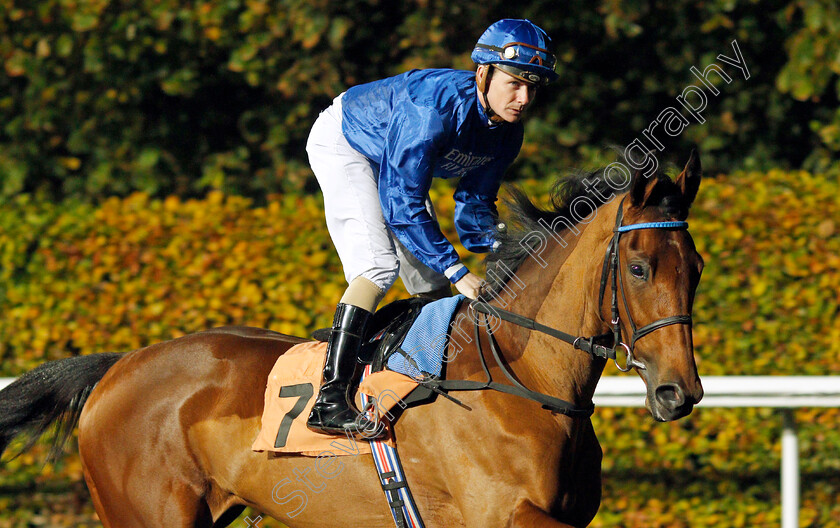 Lady-Hamilton 
 LADY HAMILTON (Kieran O'Neill)
Kempton 10 Nov 2021 - Pic Steven Cargill / Racingfotos.com