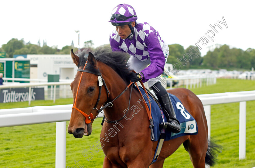 Starmas 
 STARMAS (Sean Levey)
York 11 May 2022 - Pic Steven Cargill / Racingfotos.com