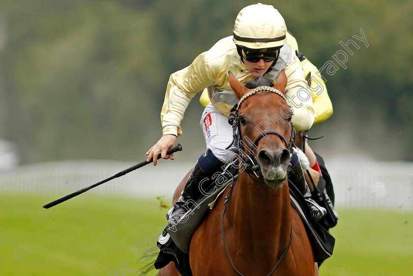 Romantic-Time-0007 
 ROMANTIC TIME (Hollie Doyle) wins The IRE Incentive Scheme Dick Poole Fillies Stakes
Salisbury 2 Sep 2021 - Pic Steven Cargill / Racingfotos.com