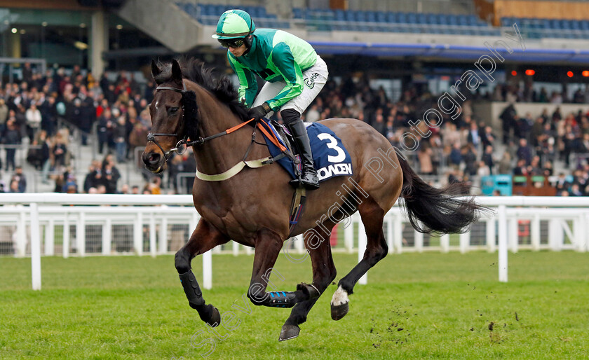 Black-Gerry-0001 
 BLACK GERRY (Niall Houlihan)
Ascot 21 Dec 2024 - Pic Steven Cargill / Racingfotos.com