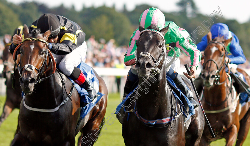 Pogo-0004 
 POGO (right, Kieran Shoemark) beats VITRALITE (left) in The Nationwide Accident Repair Services Handicap
York 23 Aug 2019 - Pic Steven Cargill / Racingfotos.com