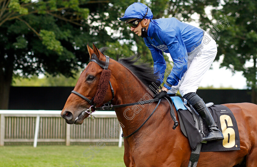 One-Ruler-0001 
 ONE RULER (James Doyle)
Newmarket 8 Jul 2021 - Pic Steven Cargill / Racingfotos.com