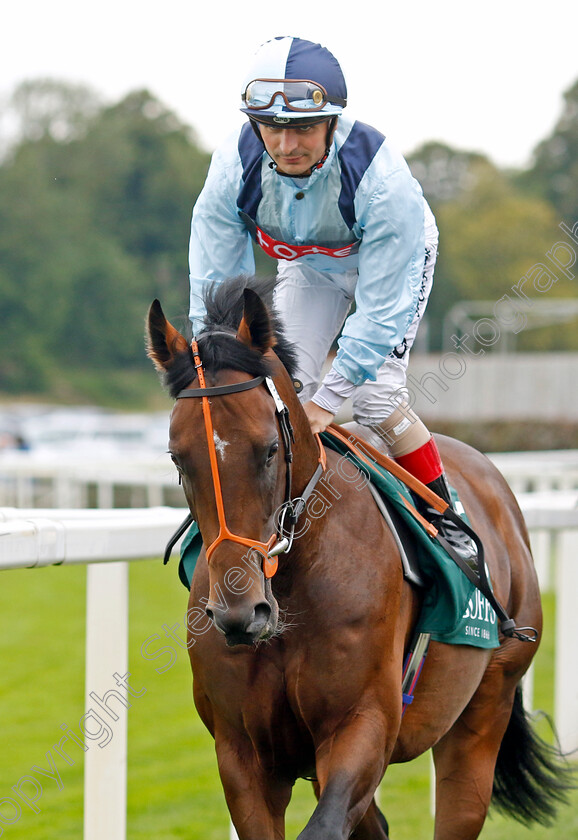 Love-Billy-Boy-0001 
 LOVE BILLY BOY (Andrea Atzeni)
York 24 Aug 2023 - Pic Steven Cargill / Racingfotos.com