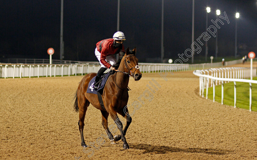 Good-Humor-0002 
 GOOD HUMOR (Richard Kingscote)
Wolverhampton 24 Nov 2020 - Pic Steven Cargill / Racingfotos.com