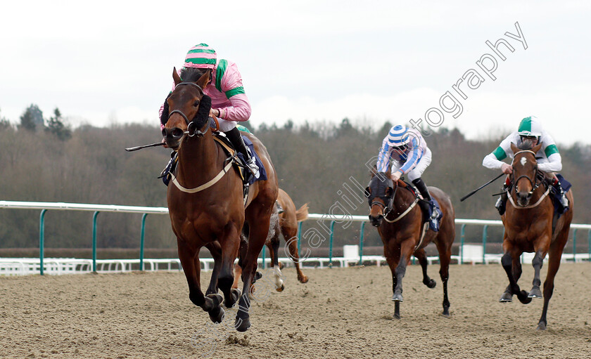 Sir-Ox-0002 
 SIR OX (Luke Morris) wins The Ladbrokes Home Of The Odds Boost Handicap
Lingfield 25 Jan 2019 - Pic Steven Cargill / Racingfotos.com