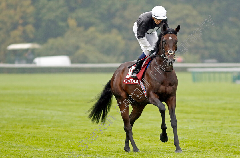 Cowardofthecounty-0001 
 COWARDOFTHECOUNTY (Dylan Browne McMonagle)
Longchamp 6 Oct 2024 - Pic Steven Cargill / Racingfotos.com