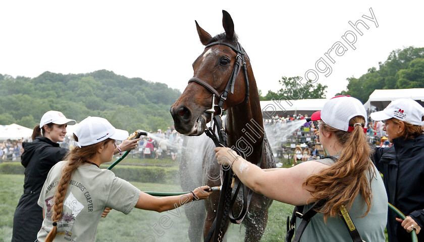 Scorpiancer-0013 
 SCORPIANCER after The Calvin Houghland Iroquois G1
Percy Warner Park, Nashville Tennessee USA, 11 May 2019 - Pic Steven Cargill / Racingfotos.com