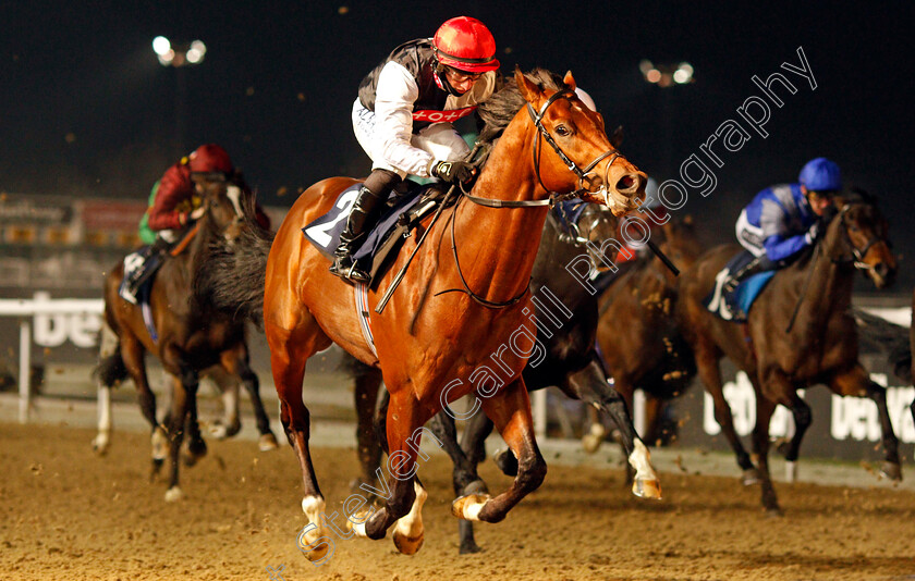 Alto-Volante-0008 
 ALTO VOLANTE (Tom Marquand) wins The Get Your Ladbrokes Odds Boost Novice Stakes
Wolverhampton 7 Jan 2021 - Pic Steven Cargill / Racingfotos.com