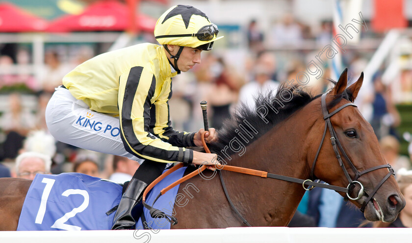 Adjuvant 
 ADJUVANT (Callum Hutchinson)
York 20 Aug 2022 - Pic Steven Cargill / Racingfotos.com