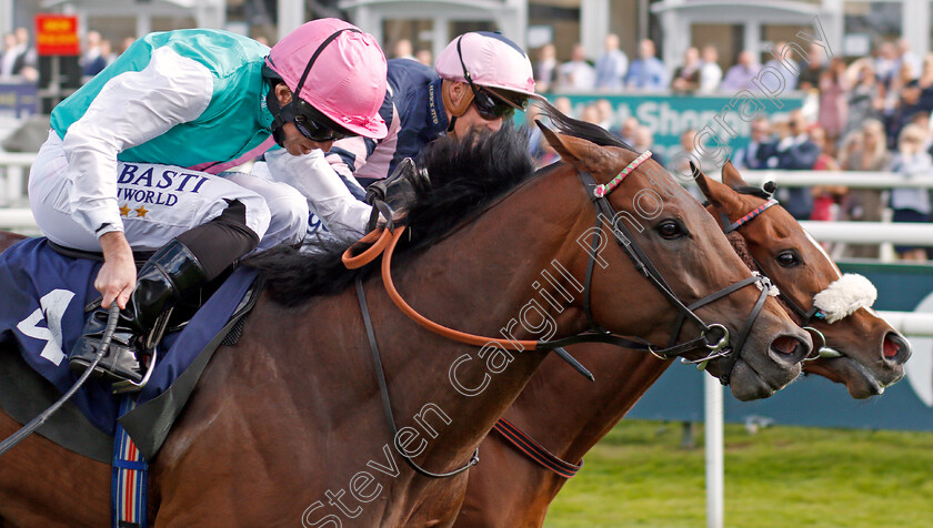 Equilateral-0004 
 EQUILATERAL (Ryan Moore) beats QUEENS GIFT (farside) in The DC Training And Development Services Scarbrough Stakes
Doncaster 11 Sep 2019 - Pic Steven Cargill / Racingfotos.com