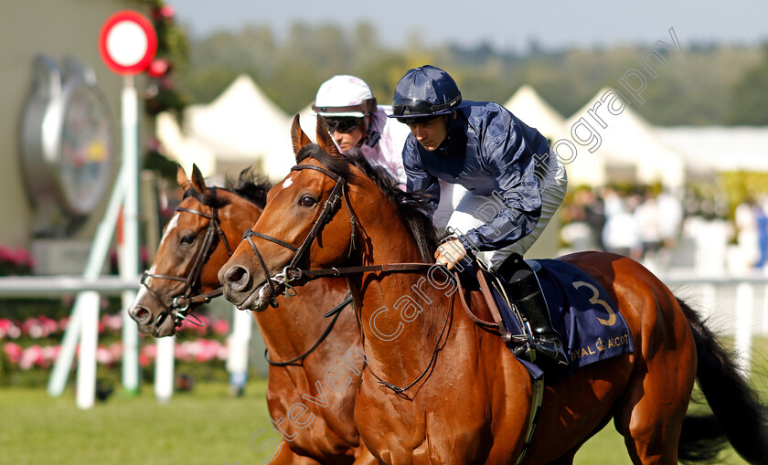 Chief-Little-Rock-0001 
 CHIEF LITTLE ROCK (Wayne Lordan)
Royal Ascot 21 Jun 2024 - Pic Steven Cargill / Racingfotos.com