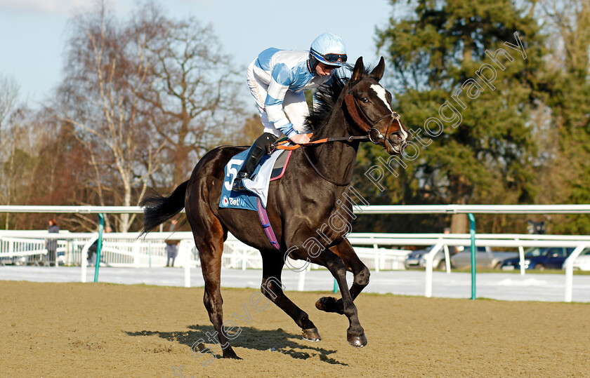 Sweet-Fantasy-0002 
 SWEET FANTASY (Rossa Ryan)
Lingfield 21 Jan 2023 - Pic Steven Cargill / Racingfotos.com